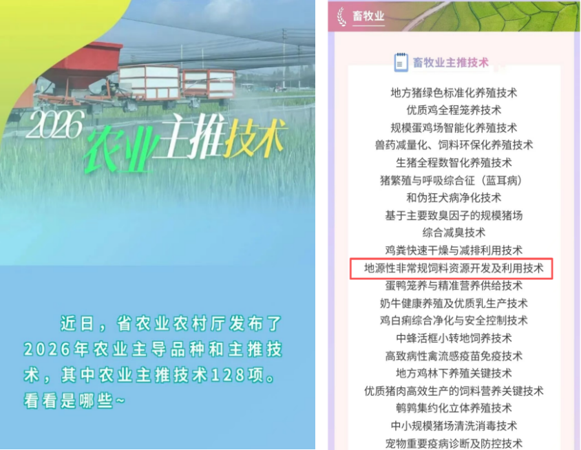 兴发游戏·(XFPT)有限公司
